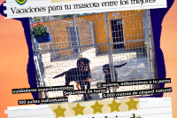 Cursos, actividades... mayo-2026  