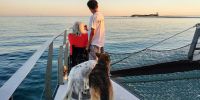 Vuelvo a España, ¿qué necesito  para entrar  con mi perro?
