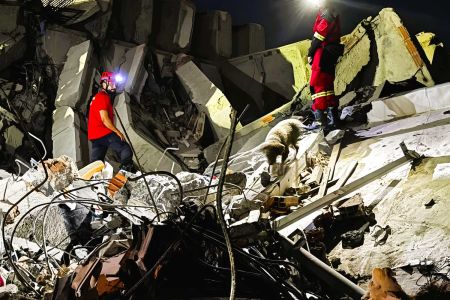 Método Arcón, los perros infatigables en Venezuela