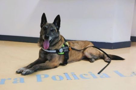 Killa se jubila con placa y medalla honorífica como un policía más