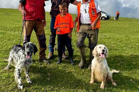 Perros de muestra: ¡a disfrutar!