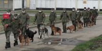 Los Juegos Militares rusos se reinventan