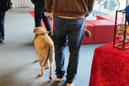 La sociedad acepta mejor a las personas si tienen perro