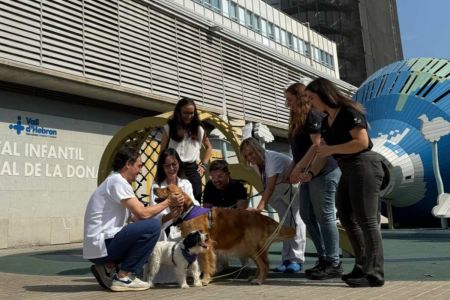 Terapia canina para niños y adolescentes