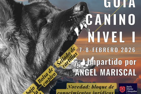 Cursos, seminarios, actividades... noviembre 2025
