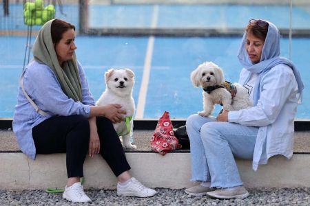 La guerra cambia a las personas y a los animales