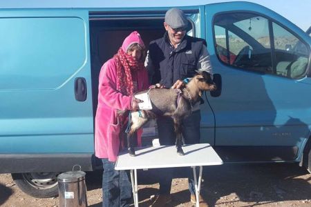En peligro la atención animal por la inseguridad veterinaria
