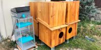  Torrelodones, el municipio que se olvida de sus animales