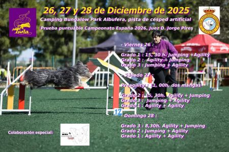 Calendario diciembre 2025 