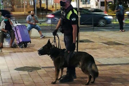 Premio al policía de Algeciras por convertir perros abandonados en K9