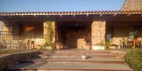 ¿Viajar con perro?  Sí, pero educado