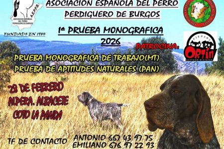 Calendario febrero 2026