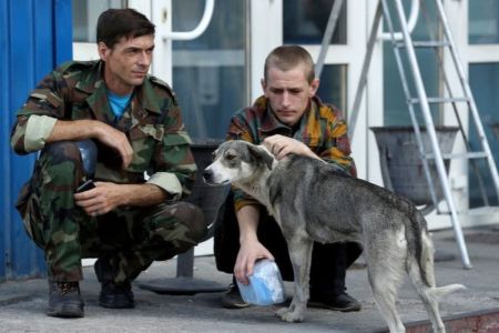 Perros de Chernóbil: una oportunidad perdida