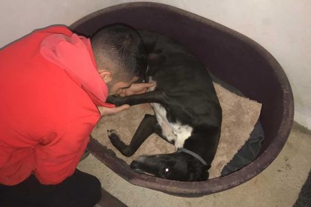Las leyendas urbanas  de los galgos