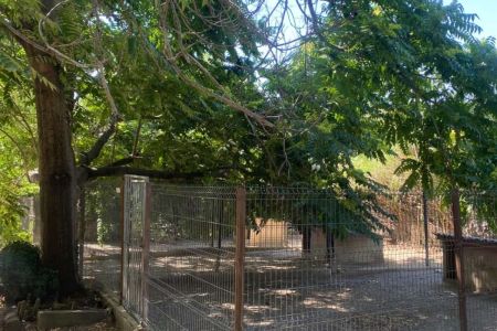 El hotel canino más salvaje, un pulmón para tu mascota