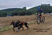 Campeonato de España de mushing, Ólvega 2025