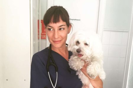 Comunicación veterinaria: cuando el miedo sustituye al criterio