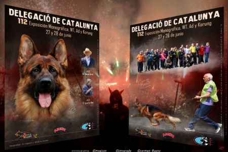 Calendario actividades caninas junio 2026