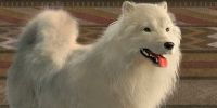 El perro lanudo, extinto desde inicios del XX, símbolo de riqueza y alto estatus de las mujeres