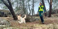 Bica, la primera can de palleiro que entra en la Guardia Civil