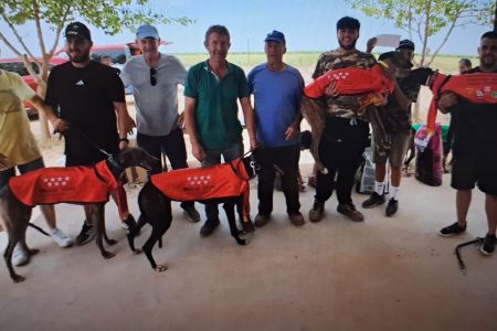 Los galgos vuelan en horario de mañana