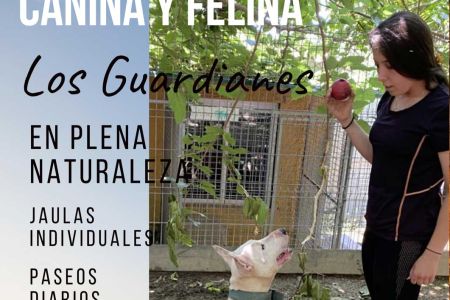 Cursos, actividades...   