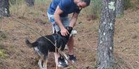 Solidaridad canina con enfermedades genéticas
