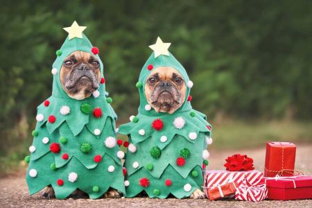   Ojo a los peligros en Navidad: nada de disfraces