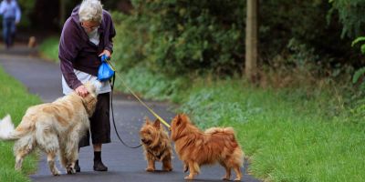 Residencias geriátricas ¿“pet friendly” o imperativo legal?