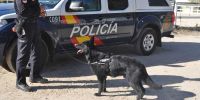 Los perros de la Policía Nacional tendrán, por fin, un seguro