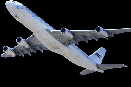 Más aerolíneas deben seguir a Ita y llevar perros grandes en cabina