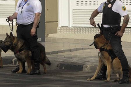 La ley no puede desproteger por más tiempo a los vigilantes caninos 