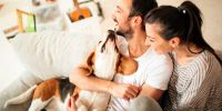 La importancia de contar con el mejor seguro para tu perro