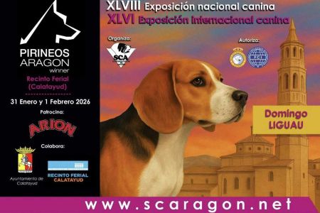Calendario enero 2026