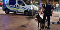 Agentes caninos, orgullo de  la Unidad Operativa de Algeciras
