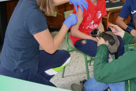 Sin miedo a las vacunas gracias a los animales