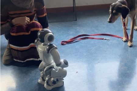 NAO, el robot que reconoce las emociones y posturas de las mascotas