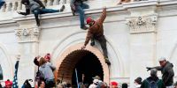 Las Fuerzas de Seguridad necesitan ayuda canina