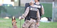 La ley animal desencalla y sigue su tramitación, pero aún puede cambiar
