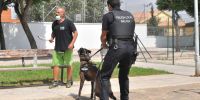 ¿Qué perros policía son más eficientes?