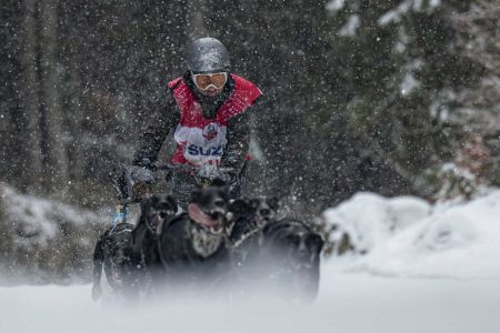 Iker Ozkoidi, campeón de mushing:  “Los perros son felices, no se les lleva al límite ni mucho menos”