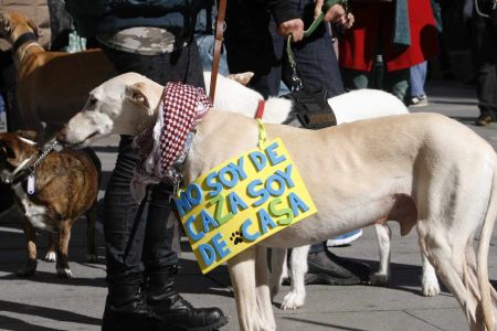Ni injuria, ni calumnia, no todo vale por los animales