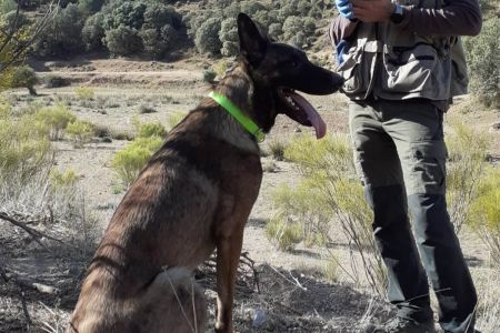 Unidad canina contra el veneno: 5.300 inspecciones en dos décadas