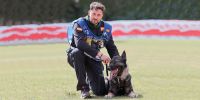 Humanizar a un perro es una falta de respeto