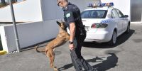 El perro policía debe vivir con el policía y olvidarse ya de jaulas