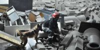 ¿Otro protocolo, ahora para los perros de rescate?