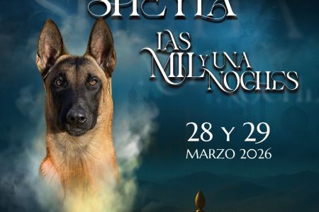 Las mil y una lecciones de Sherezade, el legado que Sheyla clava en las retinas del mondioring