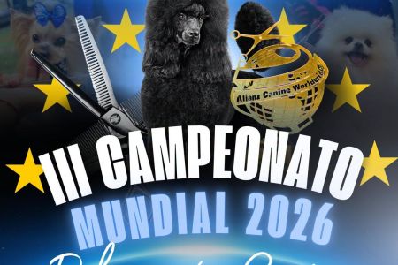 Cursos, actividades... septiembre-2026  