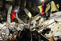 Método Arcón, los perros infatigables en Venezuela