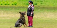 “En el deporte canino hay que aspirar a la perfección sin fisuras”